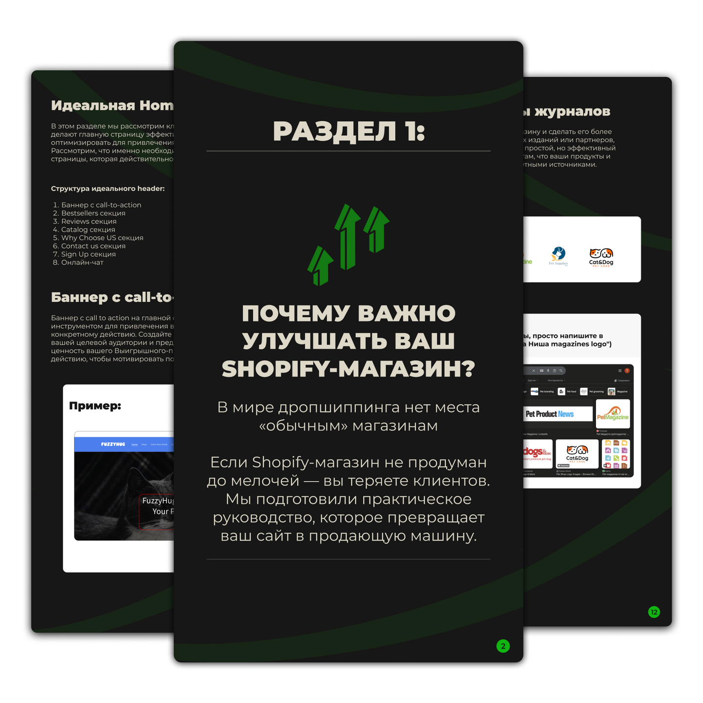 КАК СОЗДАТЬ ПРИБЫЛЬНЫЙ SHOPIFY-МАГАЗИН С НУЛЯ